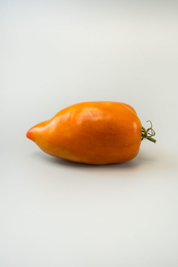 "Pepper" Tomato