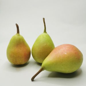 "Herculina" Pear - Image 2