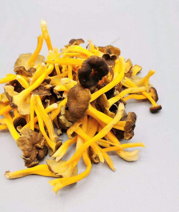 Yellow foot