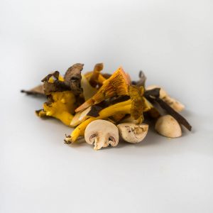 Mezcla de setas