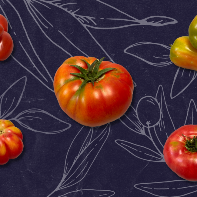 6 tomates gourmet que debes conocer