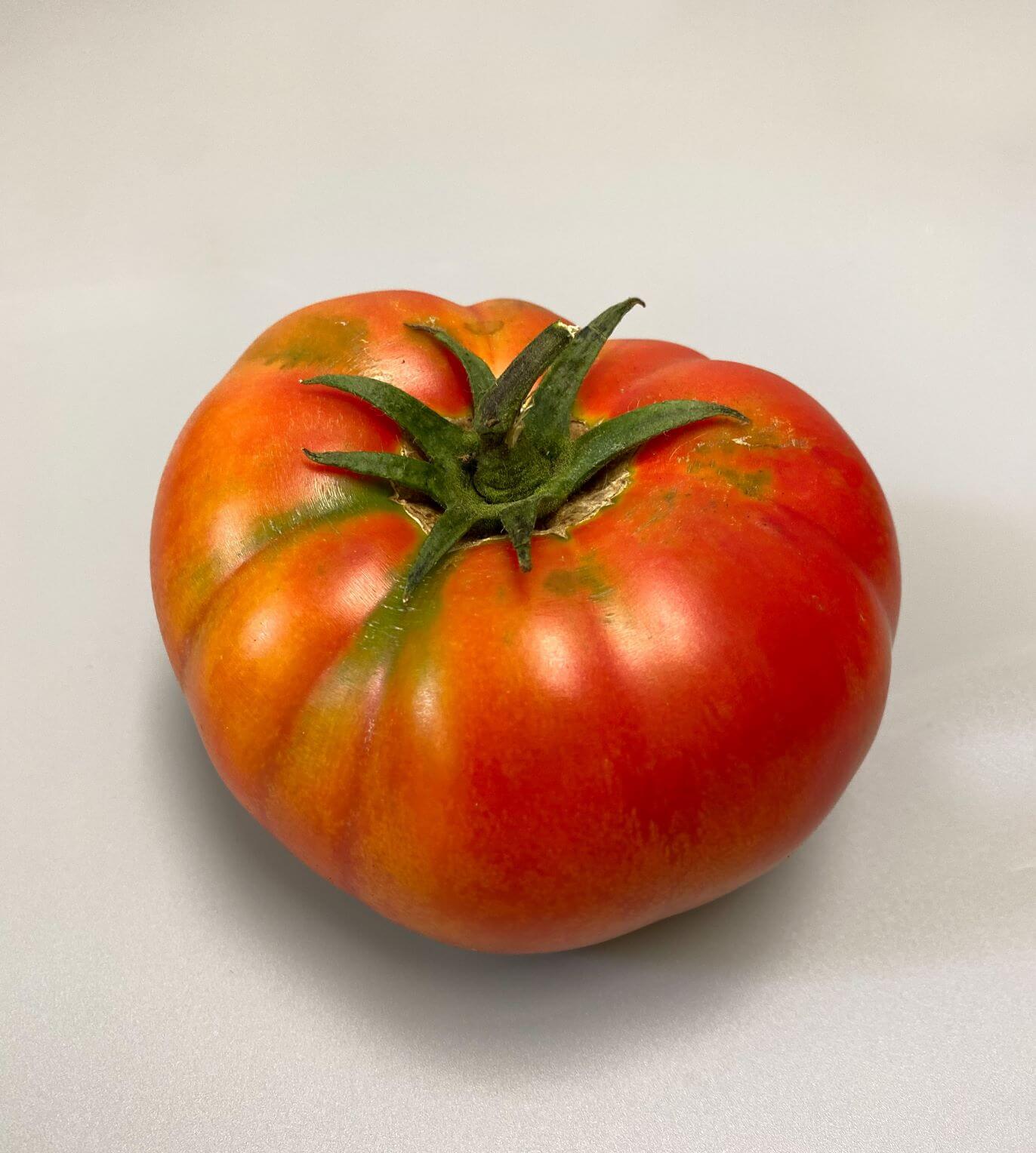 tomate del señor juan