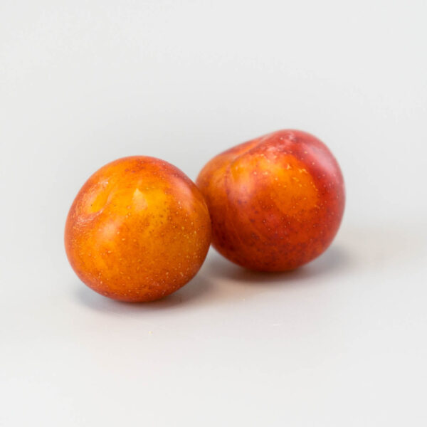 Ciruela Miravolant