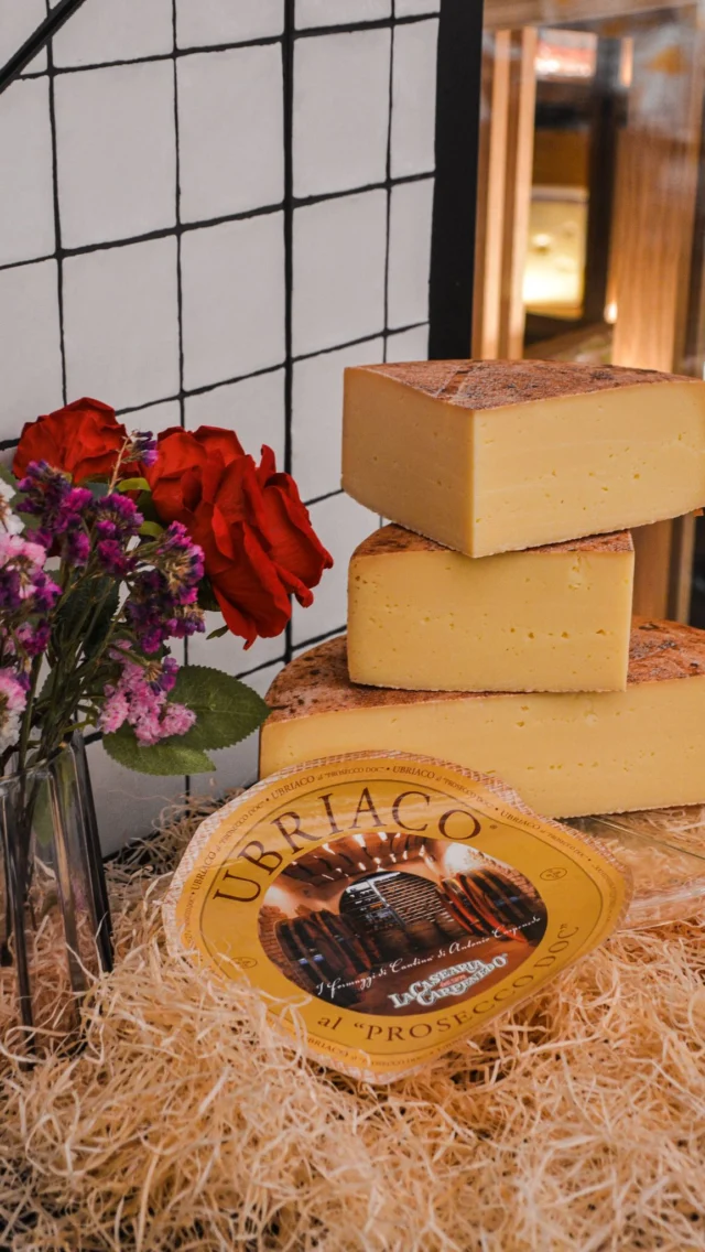 Ubriaco al prosecco, un queso con mucha historia.🧀🍷

Este queso de leche cruda ofrece una textura seca al corte pero grasa en boca con una complejidad de aromas y matices propios de un queso excepcional, pero, ¿conoces su historia?

Nos tenemos que remontar en 1974 cuando Antonio Carpenedo, joven quesero de la zona de Treviso (Italia) decidió recuperar una antigua usanza de la región. Durante las guerras de Italia en los siglos XIV y XV algunos campesinos solían esconder los alimentos debajo de los restos de orujos, residuos del prensado de la uva, para así evitar que las tropas les dejarán sin comida. Esta técnica de supervivencia resultó dar al queso un color, un sabor y una textura diferente. 

Hoy en día, la familia prosigue con el legado y posiciona a la quesería como una de las más creativas y emblemáticas del país.

¿Conocías este queso?🧐

Lo puedes encontrar en nuestra quesería en Camarasa Francesc Macià.📍
.
.
.
Ubriaco al prosecco, un formatge amb molta història.🧀🍷

Aquest formatge de llet crua ofereix una textura seca al tall però mes greixós a la boca amb una complexitat d’aromes i matisos propis d’un formatge excepcional, però, coneixes la història?

Ens hem de remuntar al 1974 quan Antonio Carpenedo, jove formatger de la zona de Treviso (Itàlia) va decidir recuperar una antiga usança de la regió. Durant les guerres d’Itàlia als segles XIV i XV alguns pagesos solien amagar els aliments sota les restes d’orolls, residus del premsat del raïm, per evitar que les tropes els deixaran sense menjar. Aquesta tècnica de supervivència va resultar donar al formatge un color, un sabor i una textura diferent. 

Avui dia, la família continua amb el llegat i posiciona la formatgeria com una de les més creatives i emblemàtiques del país.

Coneixies aquest formatge?🧐

El pots trobar a la nostra formatgeria a Camarasa Francesc Macià.📍

#camarasa #camarasafruits #restaurantesbarcelona #food #quesos #ubriacoprosecco #quesosartesanales #gastronomia